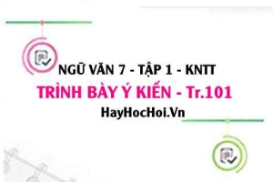 Soạn bài Trình bày ý kiến về những hoạt động thiện nguyện vì cộng đồng trang 101 Ngữ văn lớp 7 Kết nối tri thức tập 1